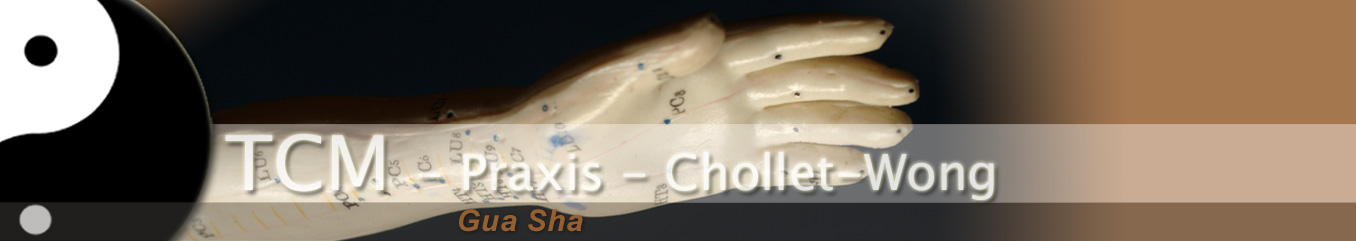 TCM-Chollet-Wong / Gua Sha