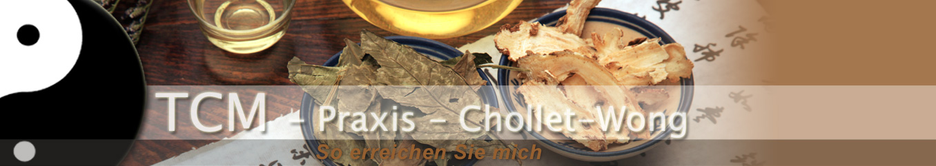 TCM-Chollet-Wong / Kontakt