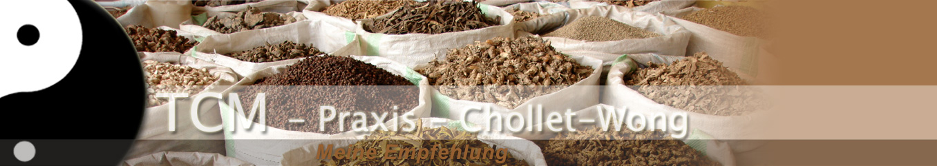 TCM-Praxis-Chollet-Wong / Links