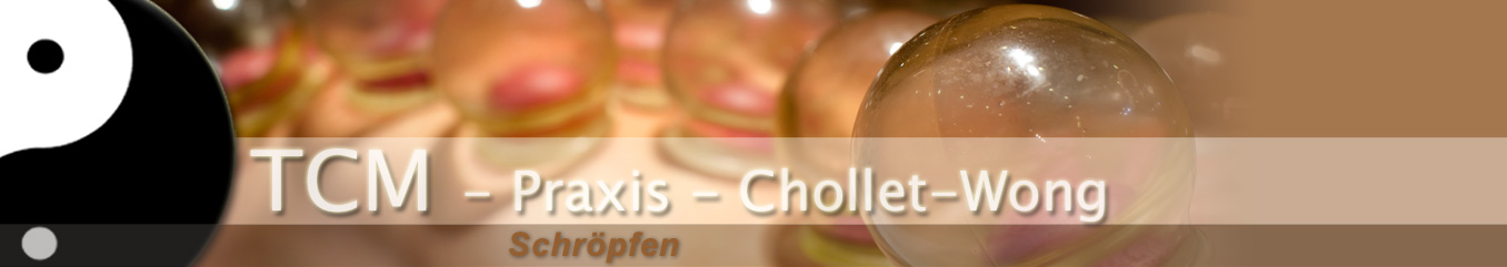 TCM-Chollet-Wong / Schrfpen